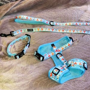 NWOT Sassy Woof harness w/ collar and leash